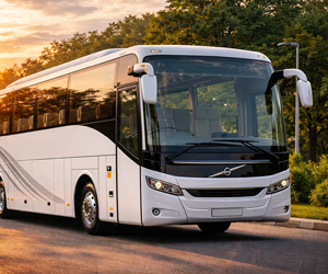 Deluxe Coaches